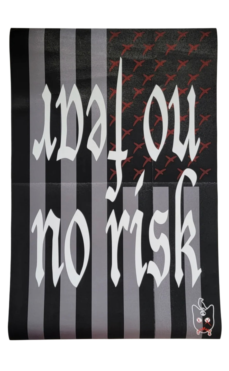 No fear no risk poster